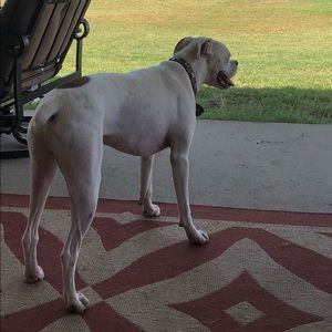 Meet your Posher, Robert